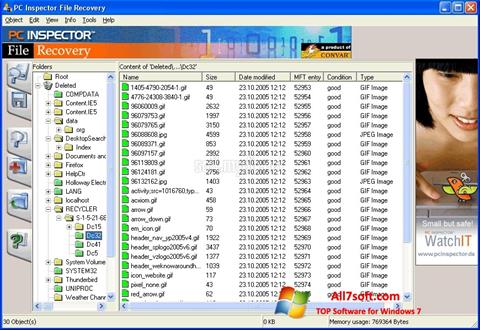Στιγμιότυπο οθόνης PC Inspector File Recovery Windows 7