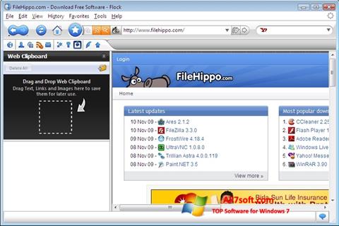 Στιγμιότυπο οθόνης Flock Windows 7