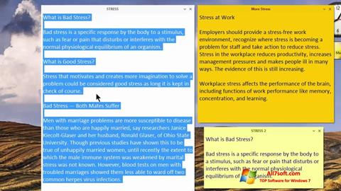 Στιγμιότυπο οθόνης Simple Sticky Notes Windows 7