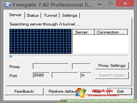 Στιγμιότυπο οθόνης Freegate Windows 7